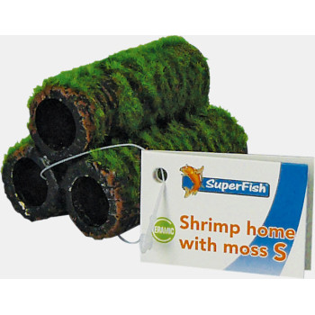 Shrimp Home with Moss